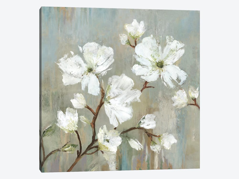 Sweetbay Magnolia I by Allison Pearce 1-piece Canvas Print