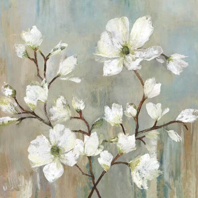 Sweetbay Magnolia II by Allison Pearce art print