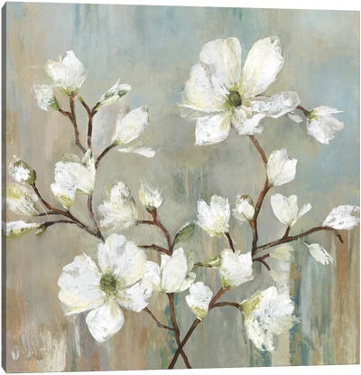 Sweetbay Magnolia II Canvas Art Print - Neutrals
