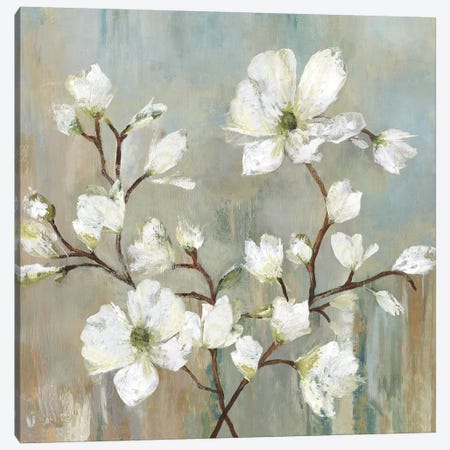 Sweetbay Magnolia II Canvas Print #ALP207} by Allison Pearce Canvas Art Print