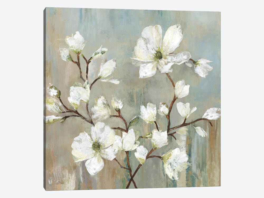 Sweetbay Magnolia II by Allison Pearce 1-piece Canvas Artwork