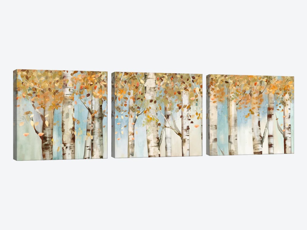 Birch Country by Allison Pearce 3-piece Canvas Art