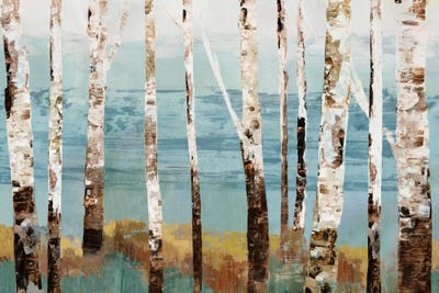 Birch Reflection by Allison Pearce art print
