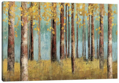 Teal Birch Canvas Art Print - Birch Tree Art