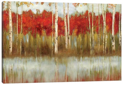 The Edge Canvas Art Print - Aspen and Birch Trees