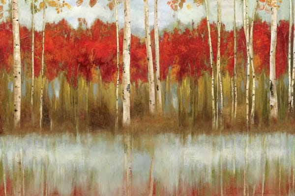 Aspen Trees | Birch Trees: The Edge by Allison Pearce