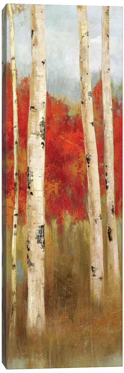 The Edge Lookout II Canvas Art Print - Aspen and Birch Trees