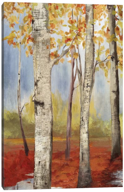 The Passage II Canvas Art Print - Aspen and Birch Trees