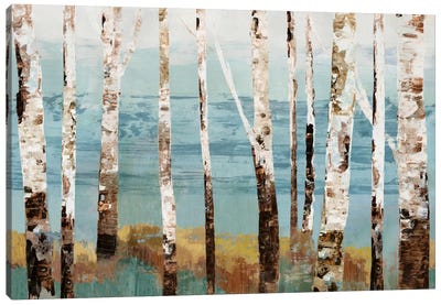 Birch Reflection Canvas Art Print - Birch Tree Art