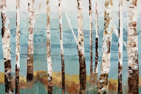 Birch Trees: Birch Reflection by Allison Pearce