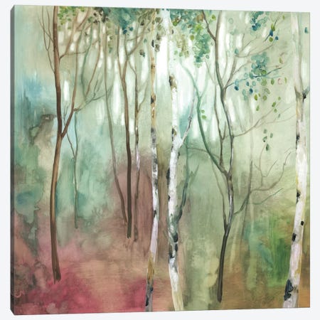 Birch In The Fog I Canvas Print #ALP231} by Allison Pearce Canvas Print