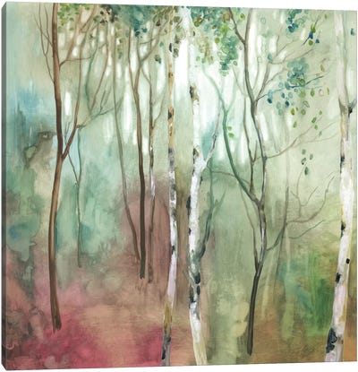 Birch In The Fog I Canvas Art Print - Birch Tree Art