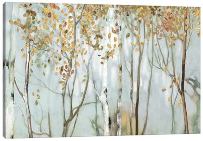 Birch In The Fog II Canvas Art Print - Tree Art