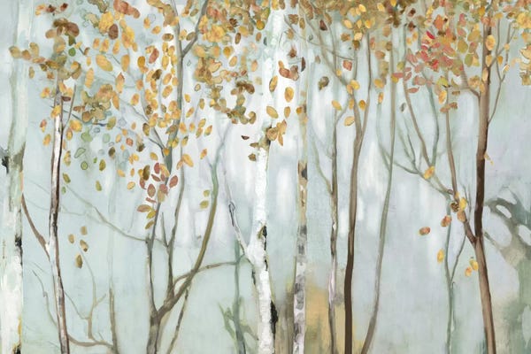 Forests: Birch In The Fog II by Allison Pearce