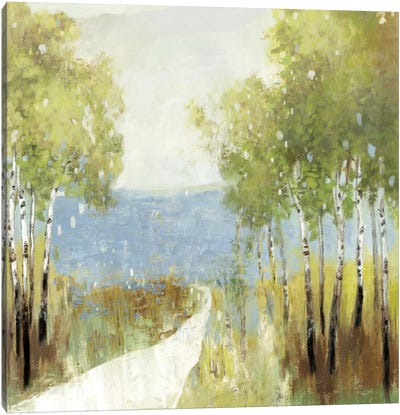 Serenity Canvas Art Print - Birch Tree Art