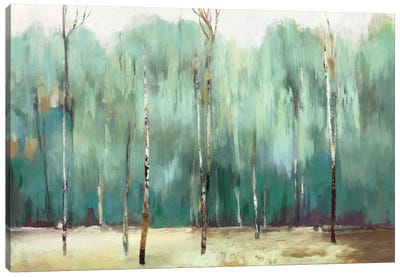 Teal Forest Canvas Art Print - Traditional Living Room Art