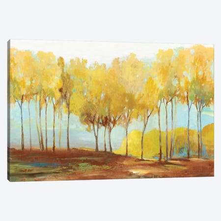Yellow Trees Canvas Print #ALP253} by Allison Pearce Canvas Print