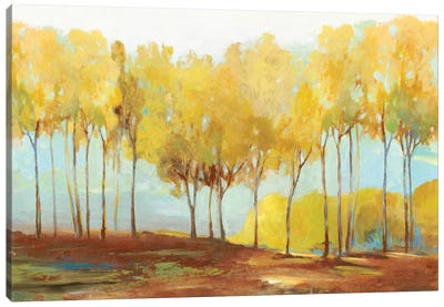 Yellow Trees Canvas Art Print - Traditional Living Room Art