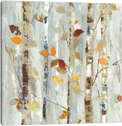 Autumn Petals Canvas Art Print - Aspen and Birch Trees