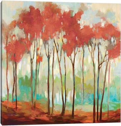 Beyond The Treetop Canvas Art Print - Allison Pearce