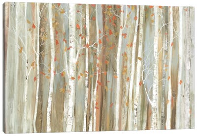 Birch Bark Canvas Art Print - Nature Close-Up Art