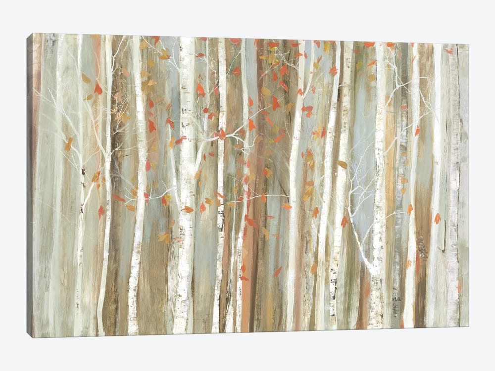 Birch Bark by Allison Pearce 1-piece Canvas Art Print