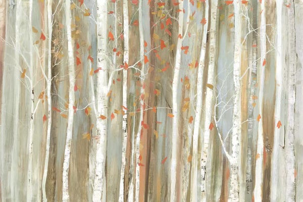 Tree Close-Ups: Birch Bark by Allison Pearce