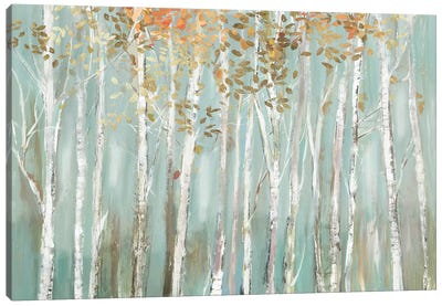 Enchanted Forest Canvas Art Print - Aspen and Birch Trees