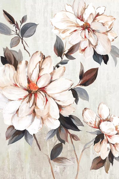 Floral Close-Ups: Growing Floral by Allison Pearce