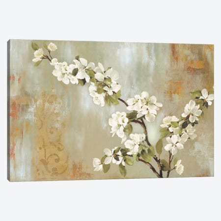 Blossoms In Bloom Canvas Print #ALP26} by Allison Pearce Canvas Wall Art