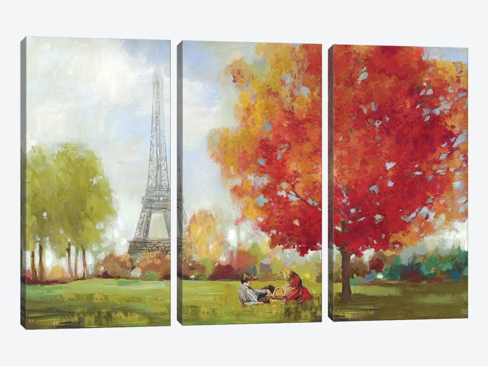 Paris Field by Allison Pearce 3-piece Canvas Print