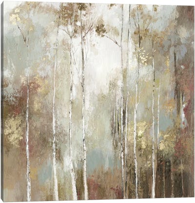 Fine Birch I Canvas Art Print - 3-Piece Tree Art