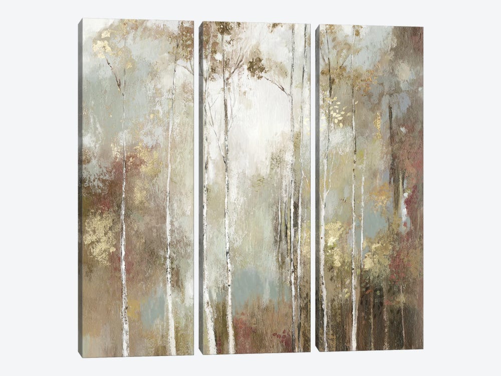 Fine Birch I by Allison Pearce 3-piece Canvas Art