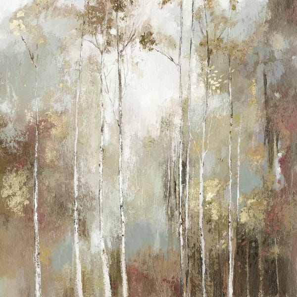 Birch Trees: Fine Birch I by Allison Pearce