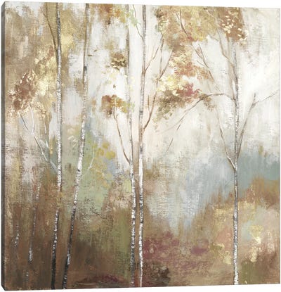 Fine Birch II Canvas Art Print - Forest Art