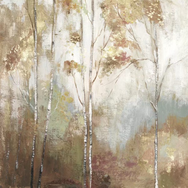 Birch Trees: Fine Birch II by Allison Pearce