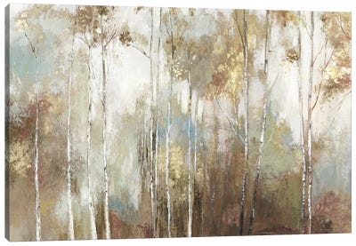 Fine Birch III Canvas Art Print - Forest Art