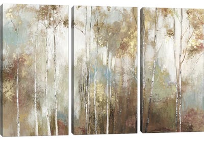 Fine Birch III Canvas Art Print - 3-Piece Scenic & Landscape Art
