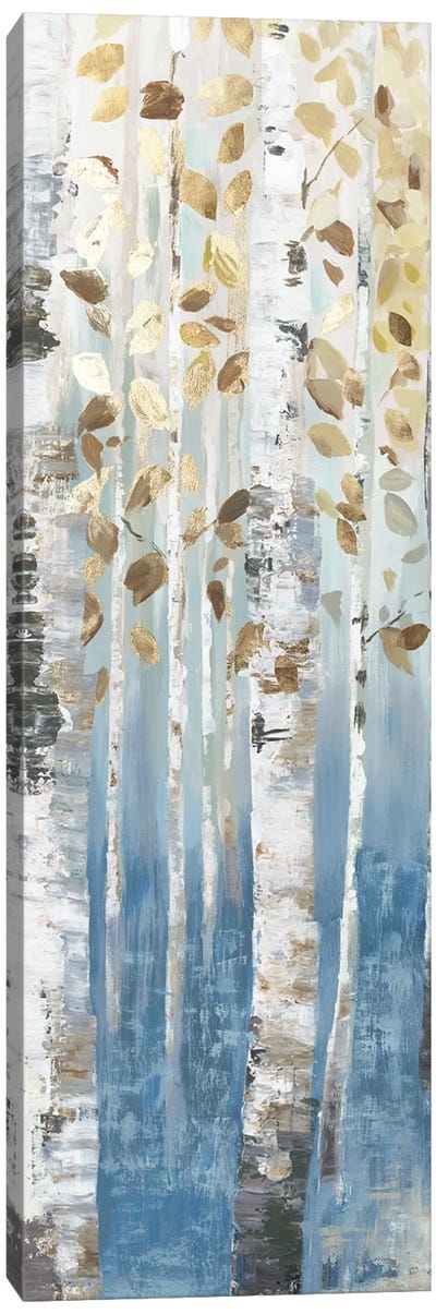 New Path II Canvas Art Print - Birch Tree Art