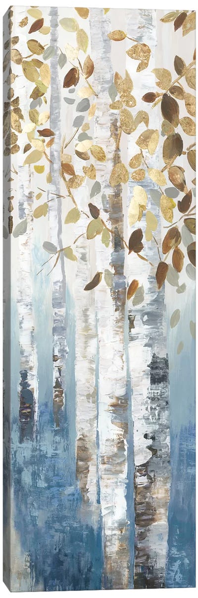 New Path IV Canvas Art Print - Birch Tree Art