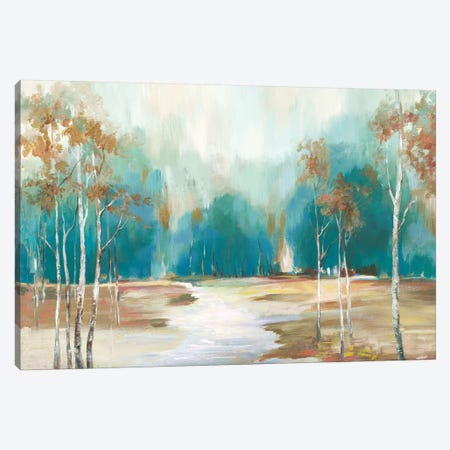 Pathway To The Forest Canvas Print #ALP299} by Allison Pearce Canvas Art Print