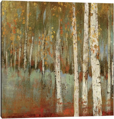 Along The Path I Canvas Art Print - Birch Tree Art