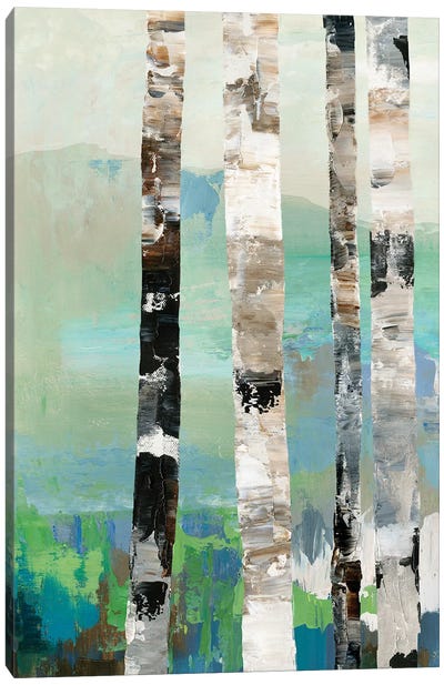 Birchwood I  Canvas Art Print - Allison Pearce