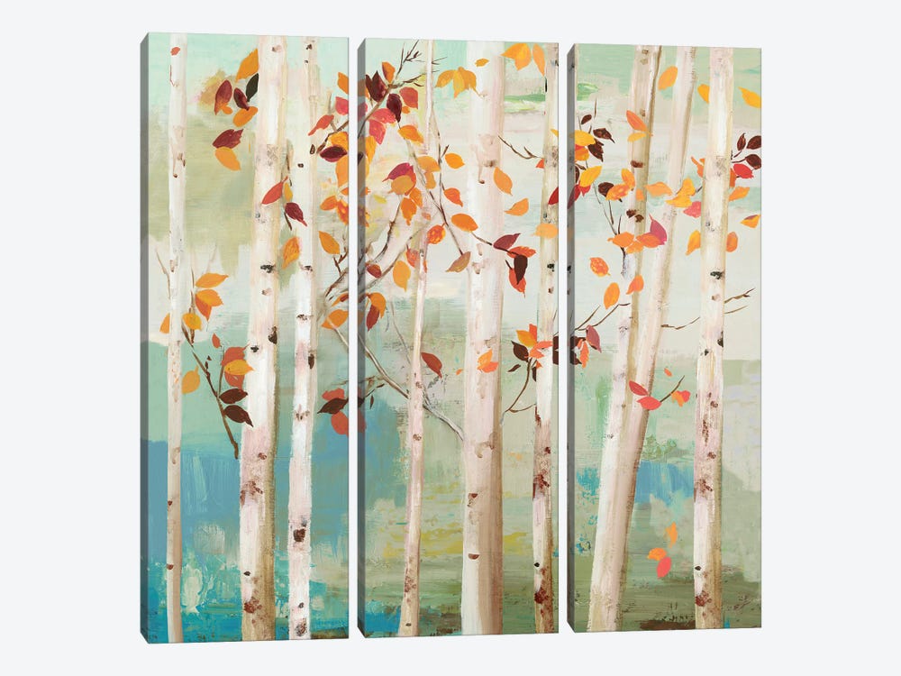 Fall Birch Trees  by Allison Pearce 3-piece Canvas Print