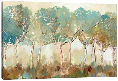 Golden Sunlight  Canvas Art Print - Forest Art