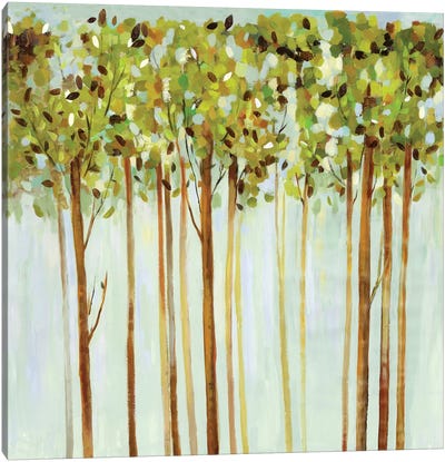 Green Leaves  Canvas Art Print - Allison Pearce