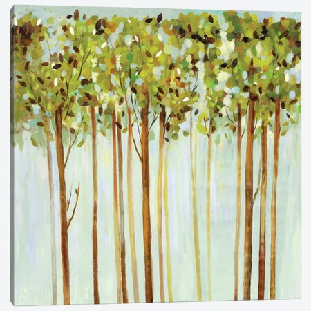 Green Leaves  Canvas Print #ALP318} by Allison Pearce Canvas Art