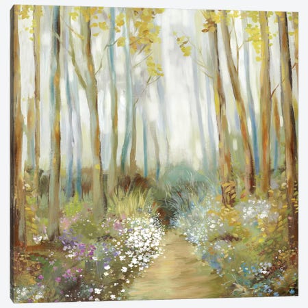 Misty Trees  Canvas Print #ALP320} by Allison Pearce Canvas Art Print