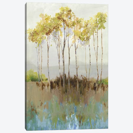 Group Of Birch Canvas Art Print by Allison Pearce | iCanvas