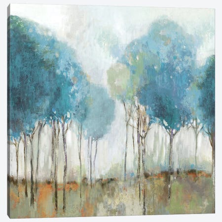 Misty Meadow II Canvas Print #ALP330} by Allison Pearce Canvas Art